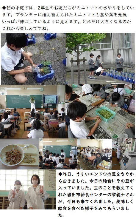 5月9日（木曜日）2年生がむいた豆が給食に入っていました。の画像