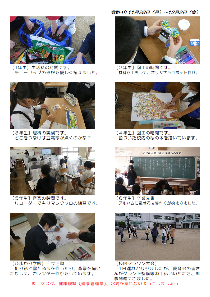 11月28日（月曜日）～12月2日（金曜日）の画像