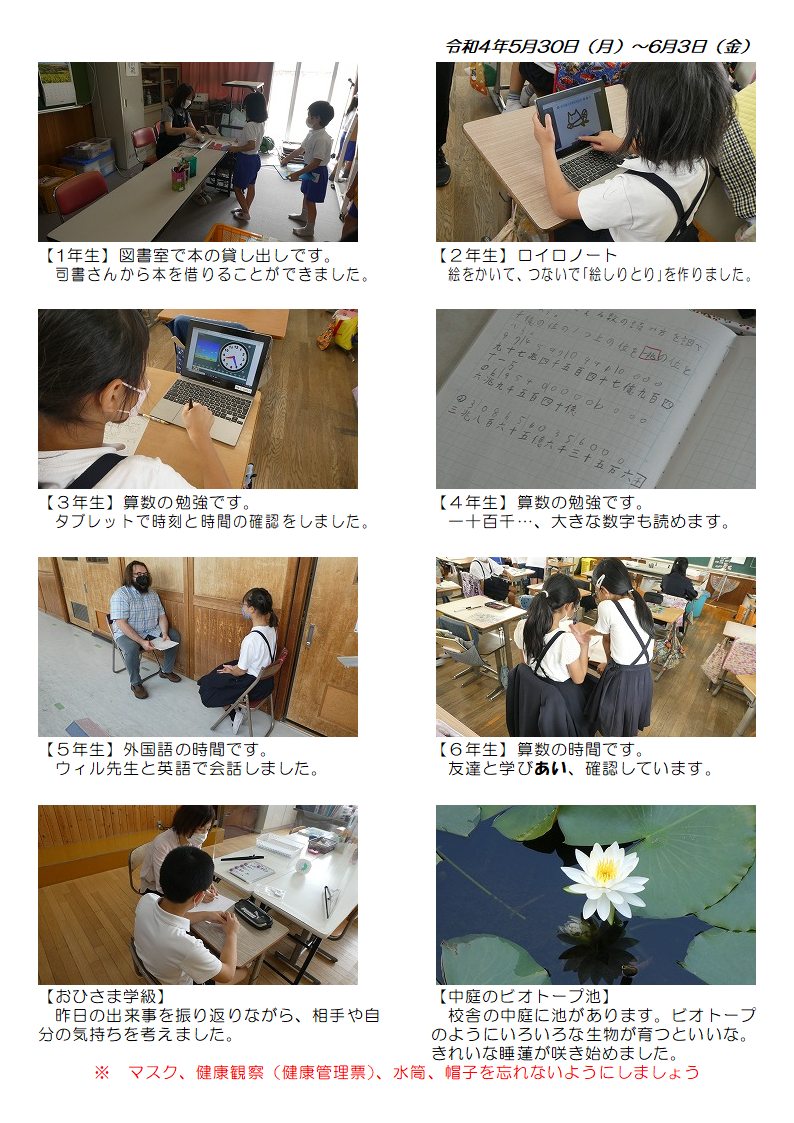 5月30日（月曜日）～6月3日（金曜日）の画像