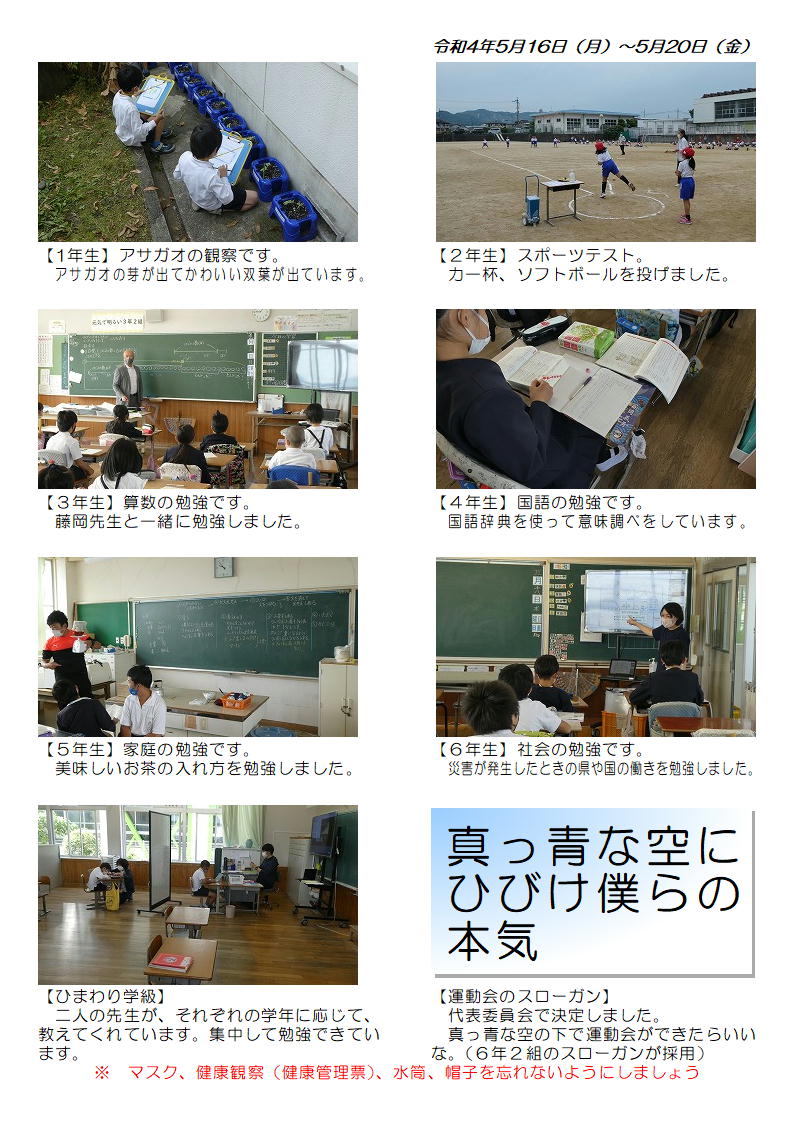 5月16日（月曜日）～20日（金曜日）の画像