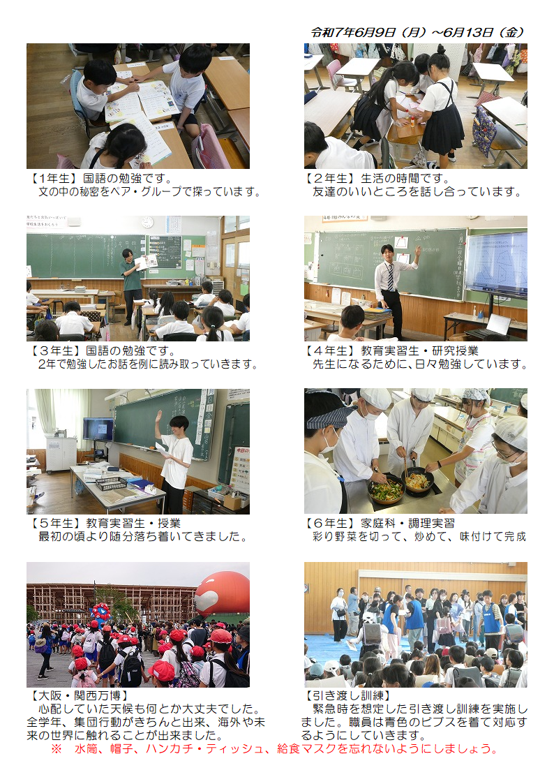 6月9日(月曜日)から13日(金曜日)の画像