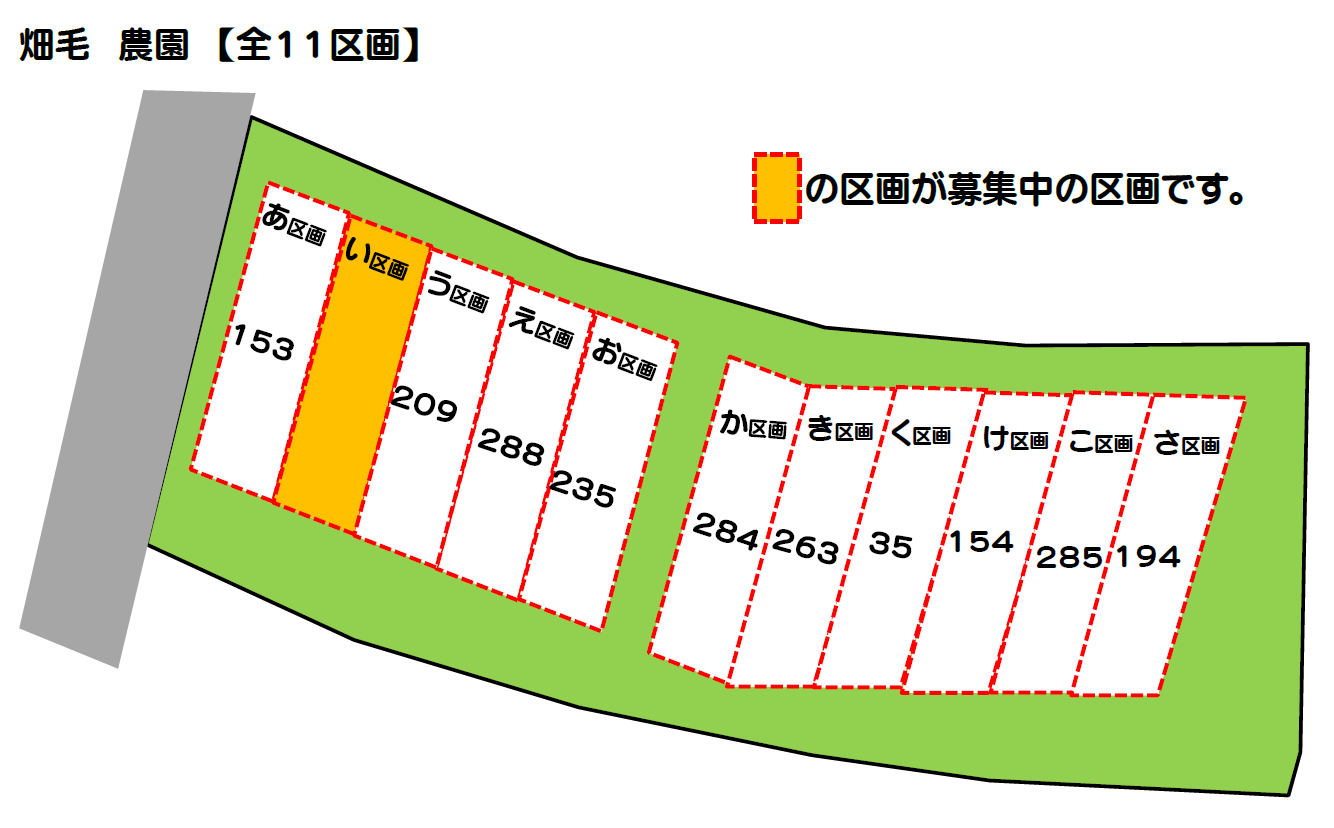 畑毛