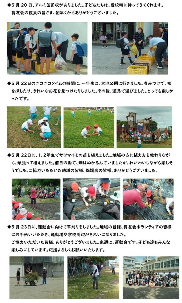 サツマイモ苗植え