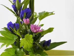 生け花８