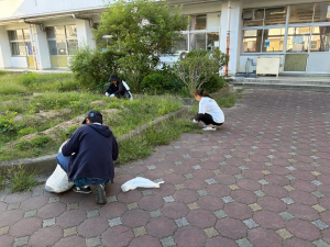 草抜き4