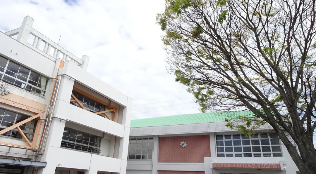 岩出小学校の写真2